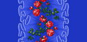 Filename=9265_.jpg
Filesize=401KiB
Dimensions=1800x882
Date added=Dec 08, 2010 9265_.jpg