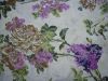 11132-5560_violet.JPG