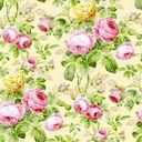 DES5B15D_NO_213_28PINK29.jpg