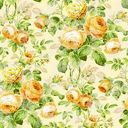 DES5B15D_NO_213_28YELLOW29.jpg