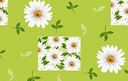 E___291-6_5BD___Ir_1075D_Green.jpg