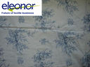 93139_blue28main29.JPG
