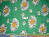 DSC05709.JPG