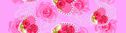 Filename=08156.jpg
Filesize=66KiB
Dimensions=1024x268
Date added=Feb 21, 2012 08156.jpg